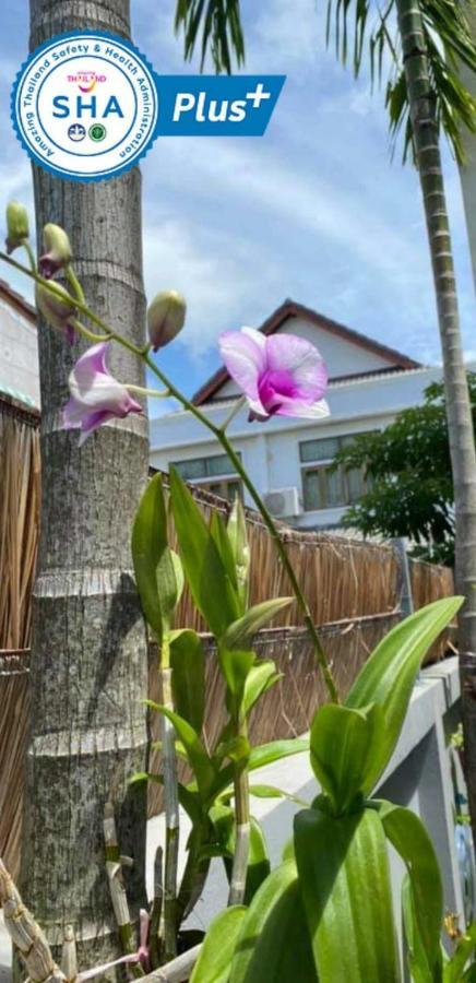 Vivi Boutique Room Hotel Sha Plus Rawai Buitenkant foto